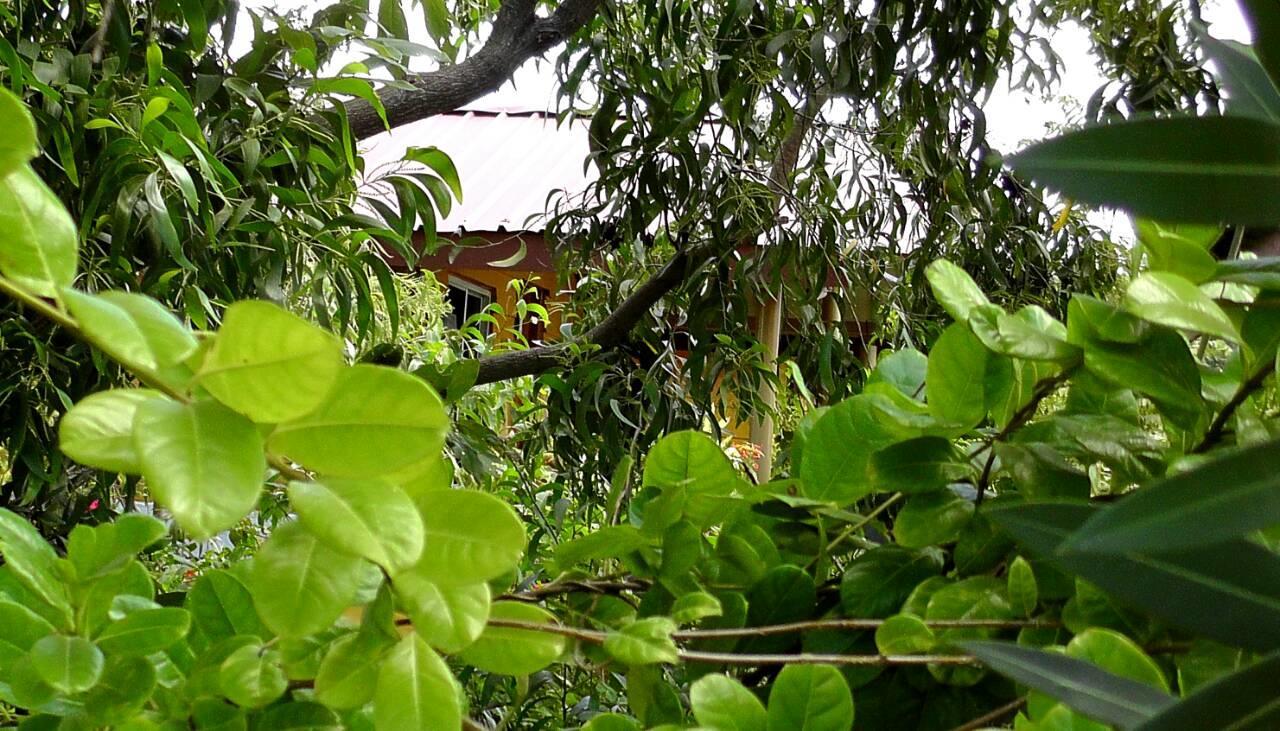 Sunntop Cabana Trincomalee Bagian luar foto